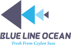 Blue Line Ocean